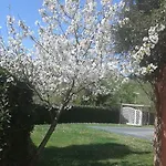 Podere Lo Stringaio Semesterbostad