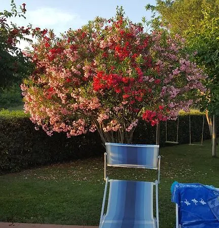 Podere Lo Stringaio Holiday home Fauglia