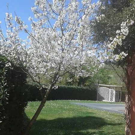 Podere Lo Stringaio Nyaraló