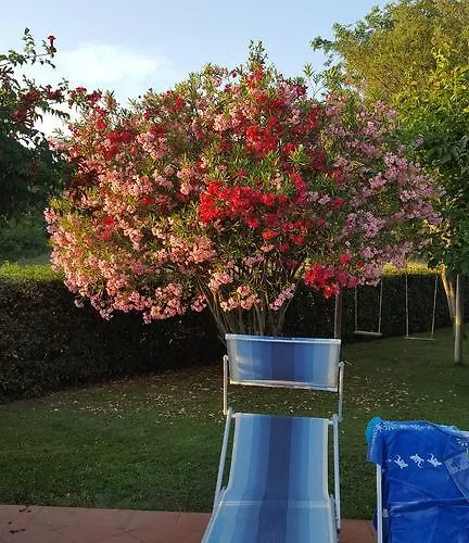 Podere Lo Stringaio Prázdninový dům Fauglia